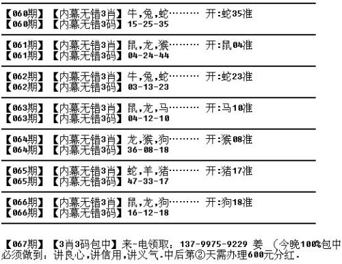 一码一肖，精准选择与解析的落实之道