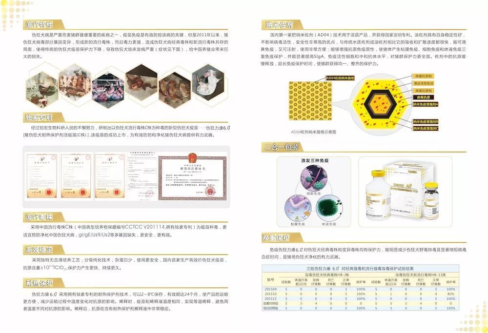 江苏隆顺环保科技，引领环保科技新潮流